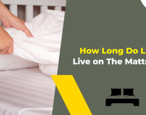 How Long Do Lice Live on The Mattress