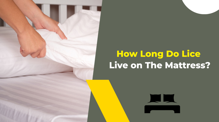How Long Do Lice Live on The Mattress