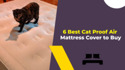 6 Best Cat Proof Air Mattress Cover to Buy