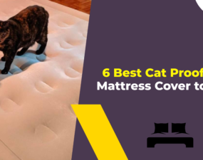 6 Best Cat Proof Air Mattress Cover to Buy