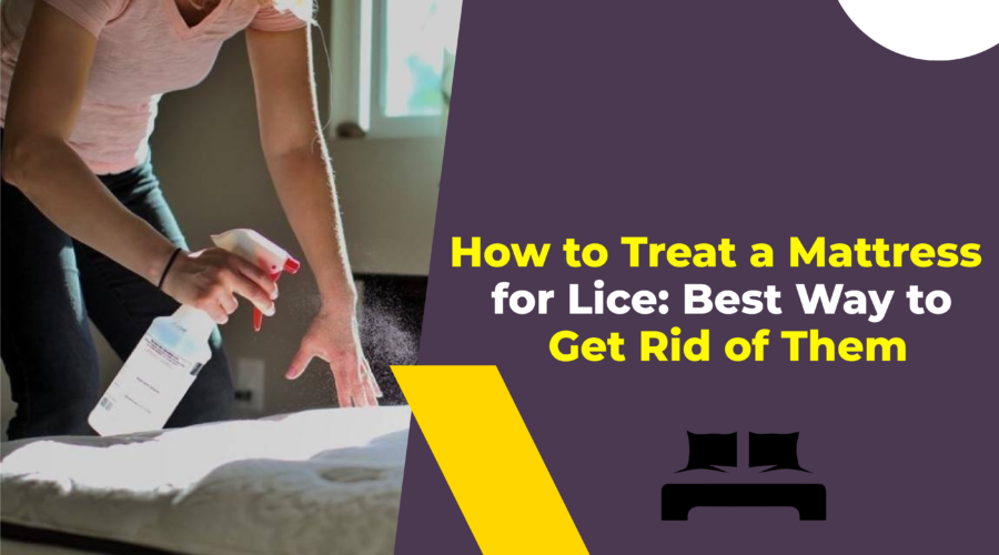 How to Treat a Mattress for Lice Best Way to Get Rid of Them