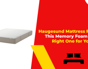 Haugesund Mattress Review This Memory Foam Bed Right One for You