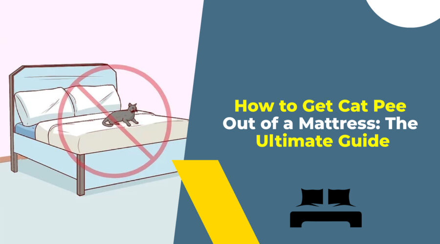 How to Get Cat Pee Out of a Mattress The Ultimate Guide