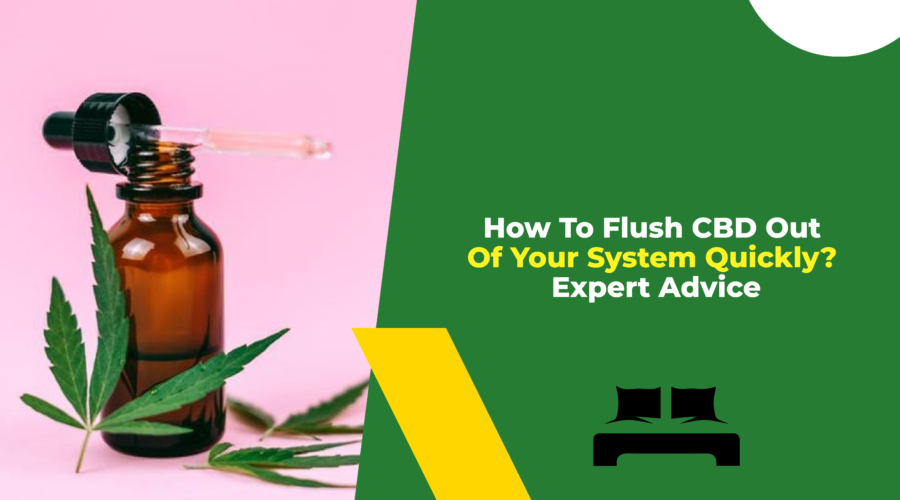 How To Flush CBD Out Of Your System Quickly Expert Advice