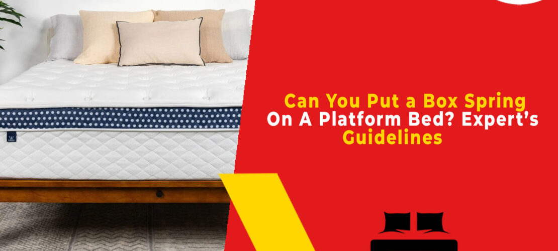 Can You Put a Box Spring On A Platform Bed Expert’s Guidelines